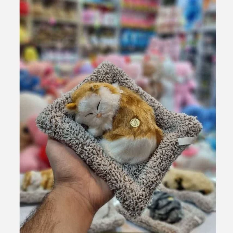 صوریمان